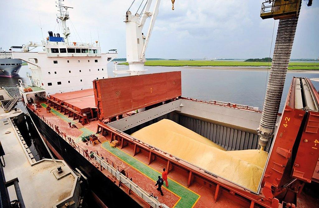 Si acompaña el clima, el agro podría aportar un récord de US$ 42.200 millones en exportaciones en la campaña 2026/27